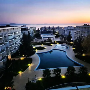 book here